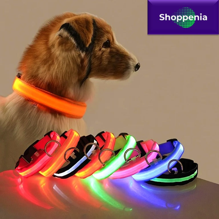 LumiPaw: Brighten Your Pet's Nighttime Adventures